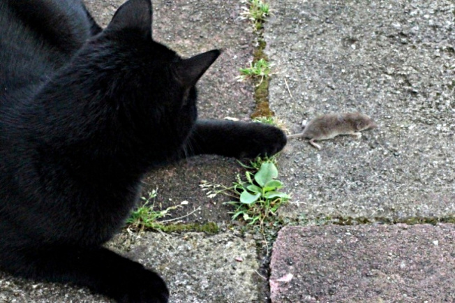 Ich bin am Suchen...